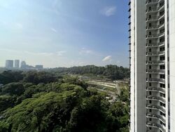 Normanton Park (D5), Apartment #578379841
